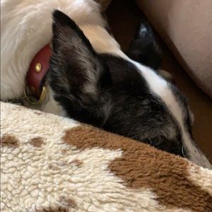 Meet your Posher, Barbara